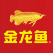 金龍魚(yú)