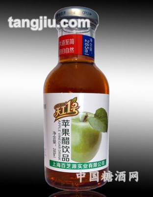 天工一號蘋果醋285ml