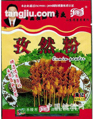 樂(lè)暢經(jīng)濟(jì)型孜然粉25g