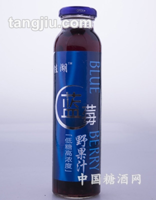 佳湖藍(lán)莓野果汁420ml