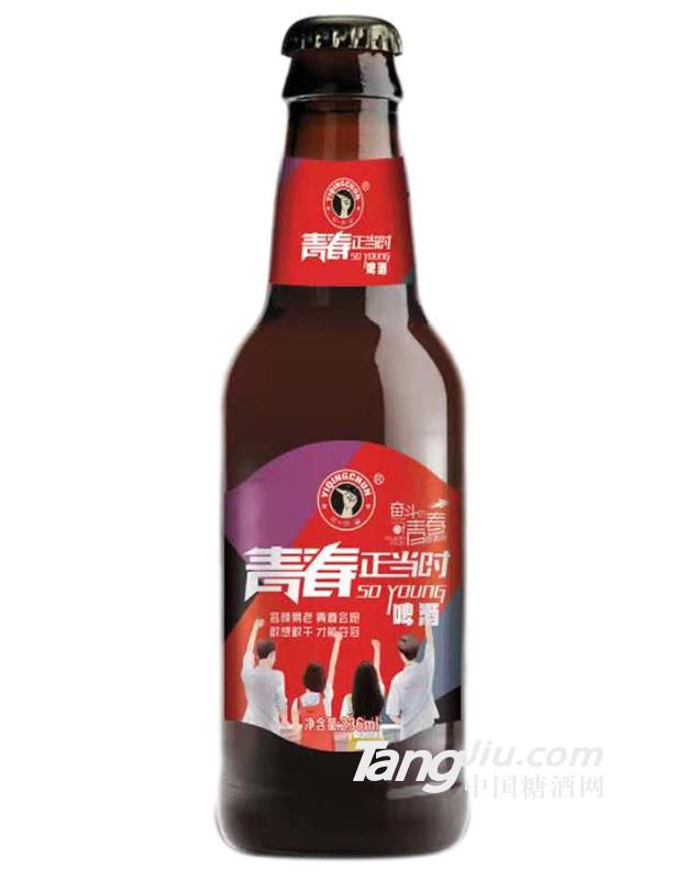 青春正當(dāng)時啤酒瓶裝-236ml