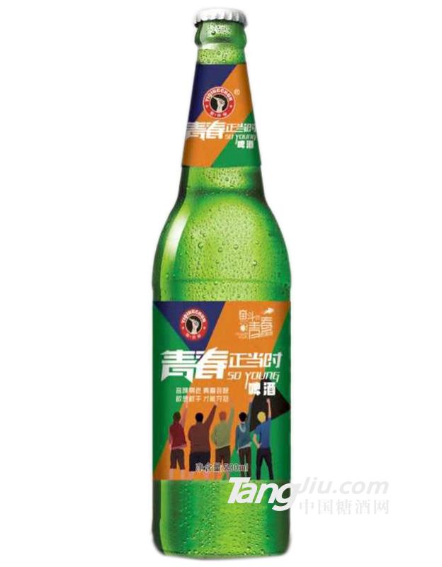 青春正當(dāng)時啤酒瓶裝-500ml