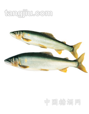 香魚(yú)系列