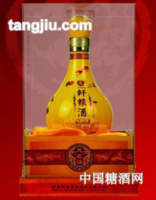 45&#176;軒轅酒天之源500ml