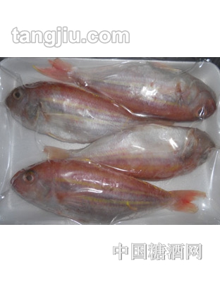 金線(xiàn)魚(yú)