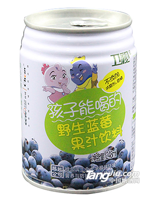 超越-野生藍(lán)莓果汁飲料-248ml