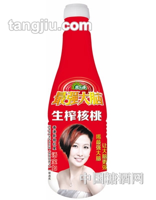 升級版強大腦生榨核桃乳500ml