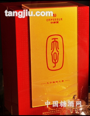 天子儒境之尊信陽(yáng)毛尖100g