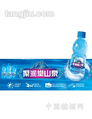 梨潤堂山泉500ml