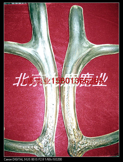 供應(yīng)北京茸價(jià)格