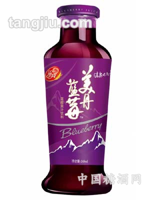 藍(lán)莓果汁飲料248ml