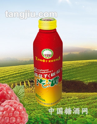 覆盆子（樹(shù)莓）汽酒300ml