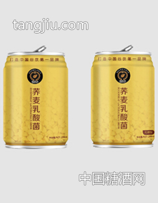 西夏褐金 蕎麥乳酸菌聽裝248ml無糖型