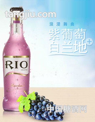 紫葡萄味白蘭地預調(diào)雞尾酒