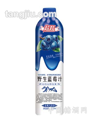 藍(lán)莓汁500ml