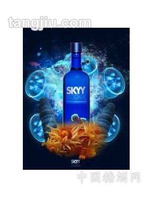 SKYY-VODKA伏特加