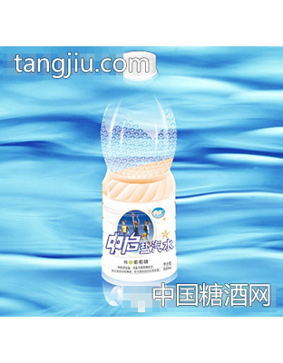 中啟鹽汽水500ml