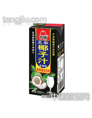 中林椰子汁250ml