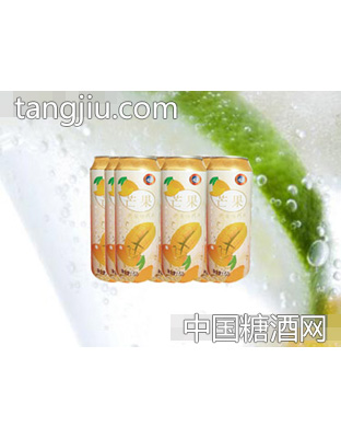 海潤(rùn)德芒果果味飲料500ml×9罐