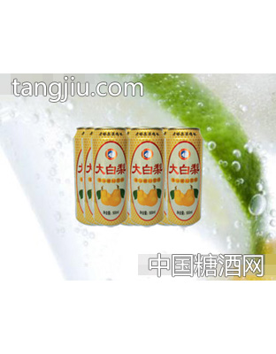 海潤(rùn)德大白梨果味飲料500ml×9罐