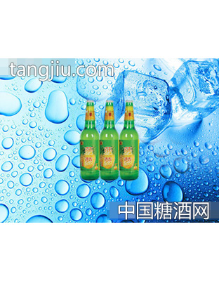 海潤(rùn)德菠蘿啤500ml×9瓶