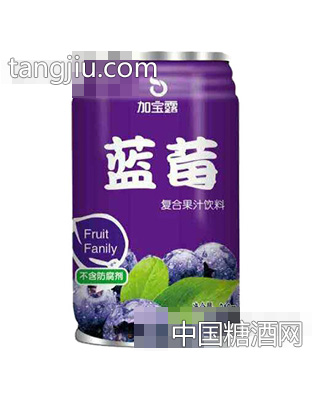 加寶露藍(lán)莓果汁飲料310ml