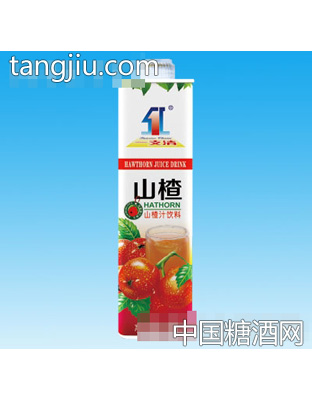 一支清山楂汁飲料1kg