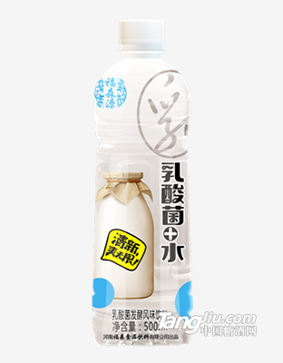 乳酸菌+水 500ml