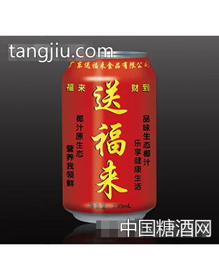 送福來(lái)生態(tài)椰子汁飲料330ml