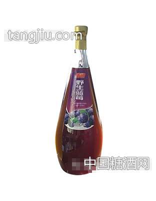 廣通野生藍(lán)莓汁瓶1.5L