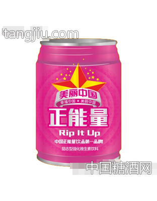 正能量維生素飲料250mlx24罐（紫）