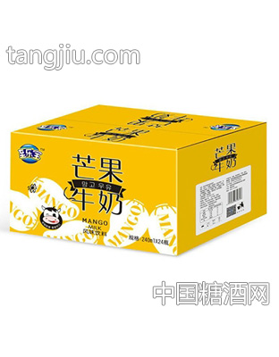 至樂(lè)寶芒果牛奶風(fēng)味飲料240mlx24瓶