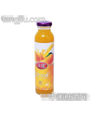 佳源芒果汁300ml