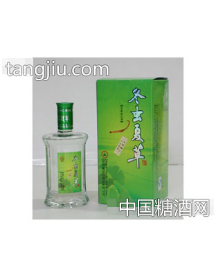 冬蟲夏草酒綠色經(jīng)典