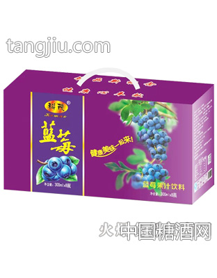 科茂藍(lán)莓果汁飲料300mlX8