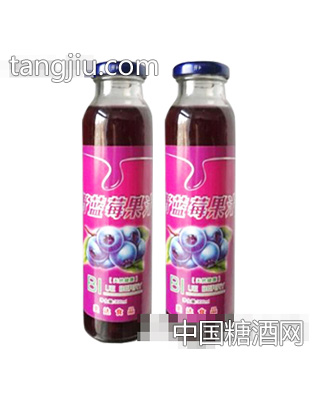 科茂藍(lán)莓果汁飲料300ml(紅)