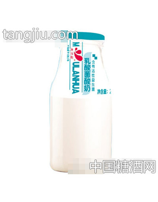 木蘭花乳酸菌酸奶200g