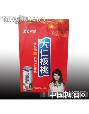 家鄉(xiāng)果園大仁核桃植物蛋白飲品