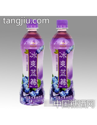 小白蘭冰爽藍莓果汁500ml