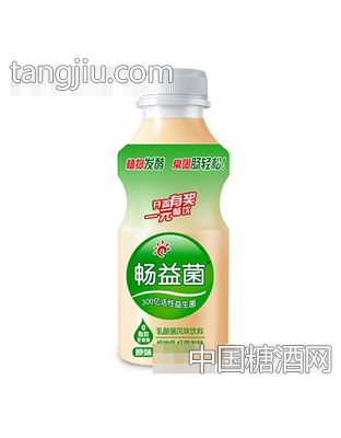 暢益菌乳酸菌飲品340ml植物發(fā)酵