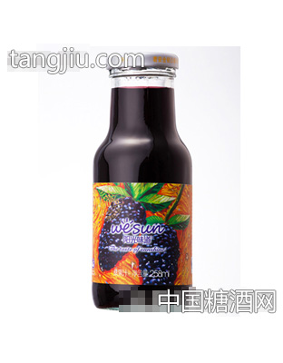 陽光味道桑果汁258ml