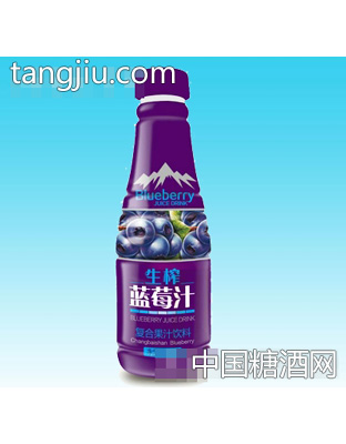 酷汁源生榨藍莓汁500ml