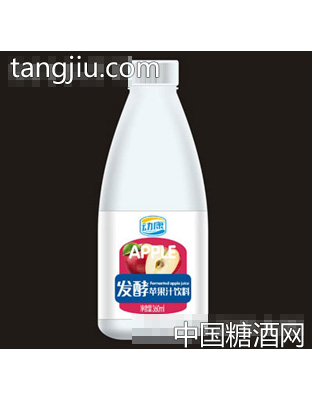 動康發(fā)酵蘋果汁飲料360ml