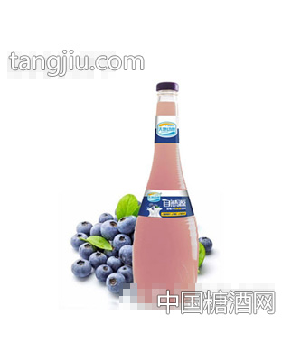 天地動康1L藍莓乳酸菌汁