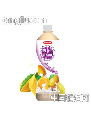 天地動(dòng)康1.25L果汁乳酸菌