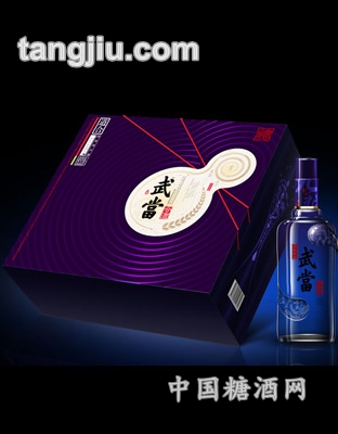 武當(dāng)合酒道合雙支250ml