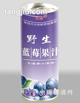 藍莓汁240ml