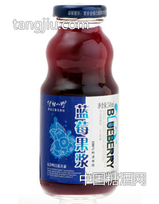 藍(lán)莓果漿248ml