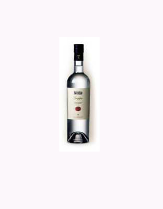 Grappa Tignanello  天娜格拉帕酒