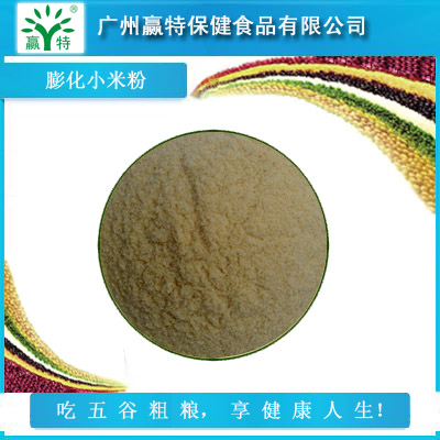 廣東贏特牌優(yōu)質(zhì)食品級(jí)膨化小米粉